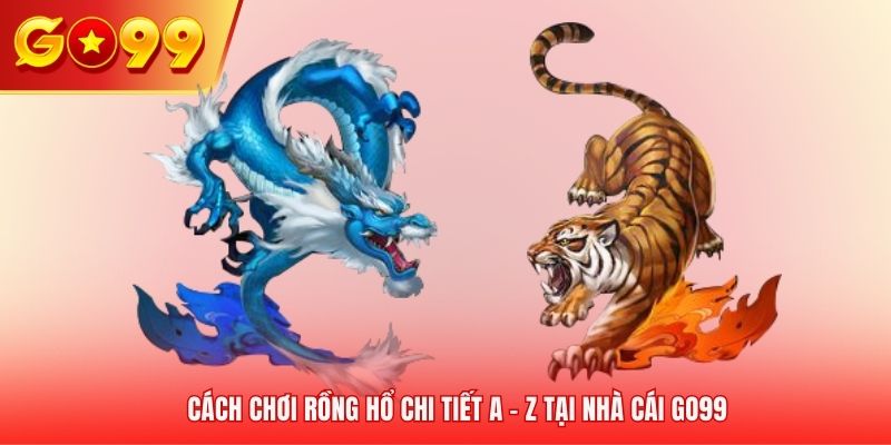 Chi tiết a - z về cách chơi Rồng Hổ